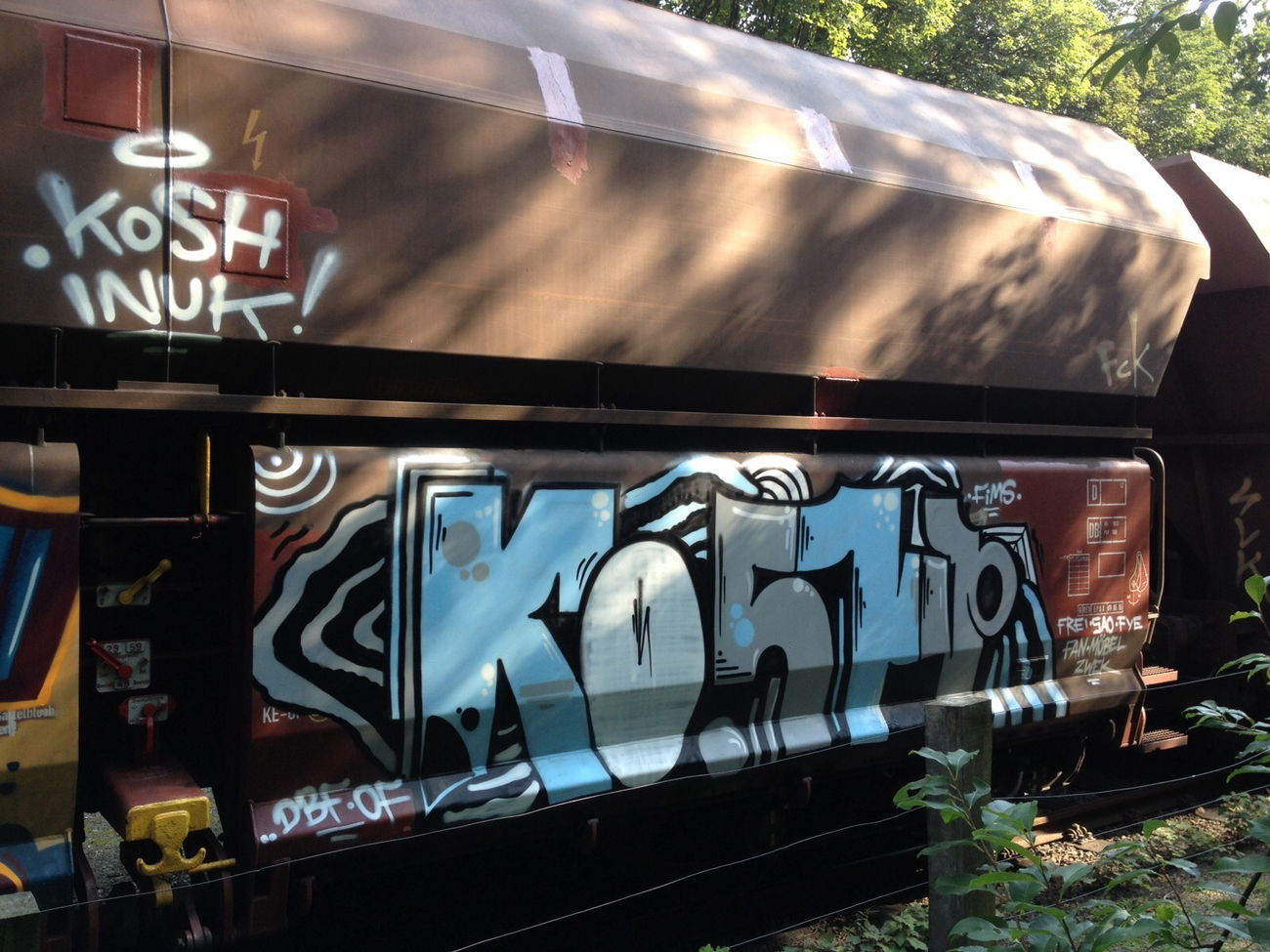 Graffiti Train - Photo by koolk - kosh, dbf, fp