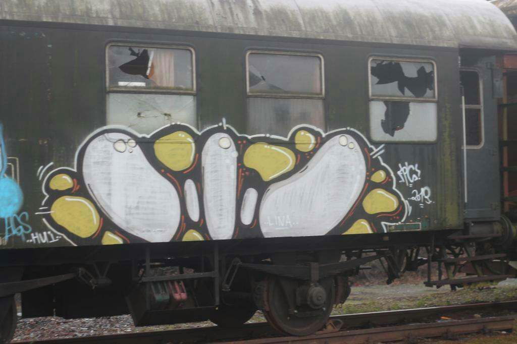 Graffiti Train - Photo by koolk - oilio, kosh, fp