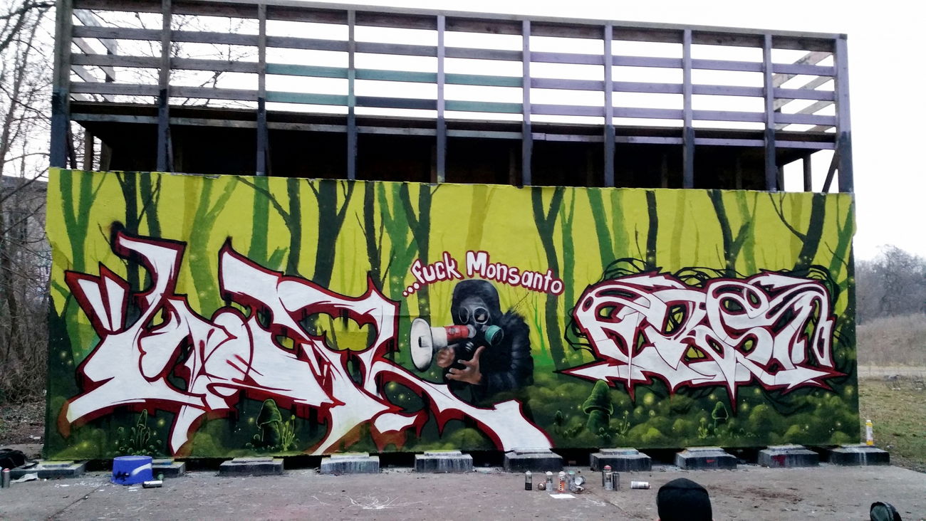 Graffiti Wall - Photo by koon - edga, erst, koon (2016)