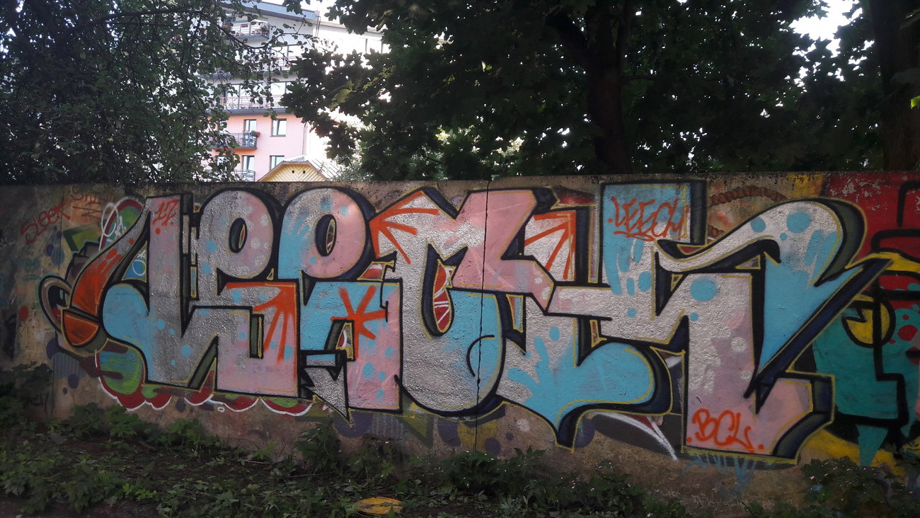 Graffiti Wall - Photo by kore182 - leech, quickie, piece (2017)