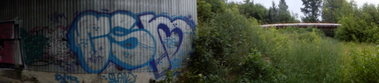 Graffiti Bombing - Photo by kosmo