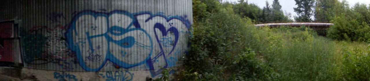 Graffiti Bombing - Photo by kosmo
