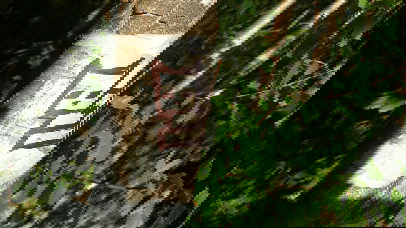 Graffiti Street Art - Photo by kottot (2014)