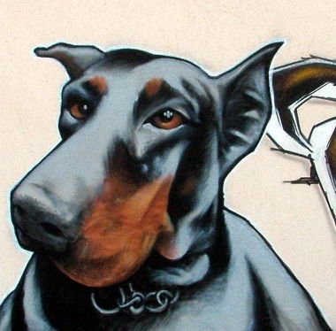 Graffiti Artwork - Photo by kozs - SzeT, Dwatysi?cehujwiekiedy (20..)