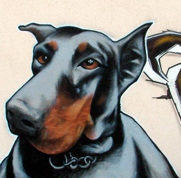 Graffiti Artwork - Photo by kozs - SzeT, Dwatysi?cehujwiekiedy (20..)