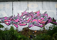 Photo #17754 by UNCNT