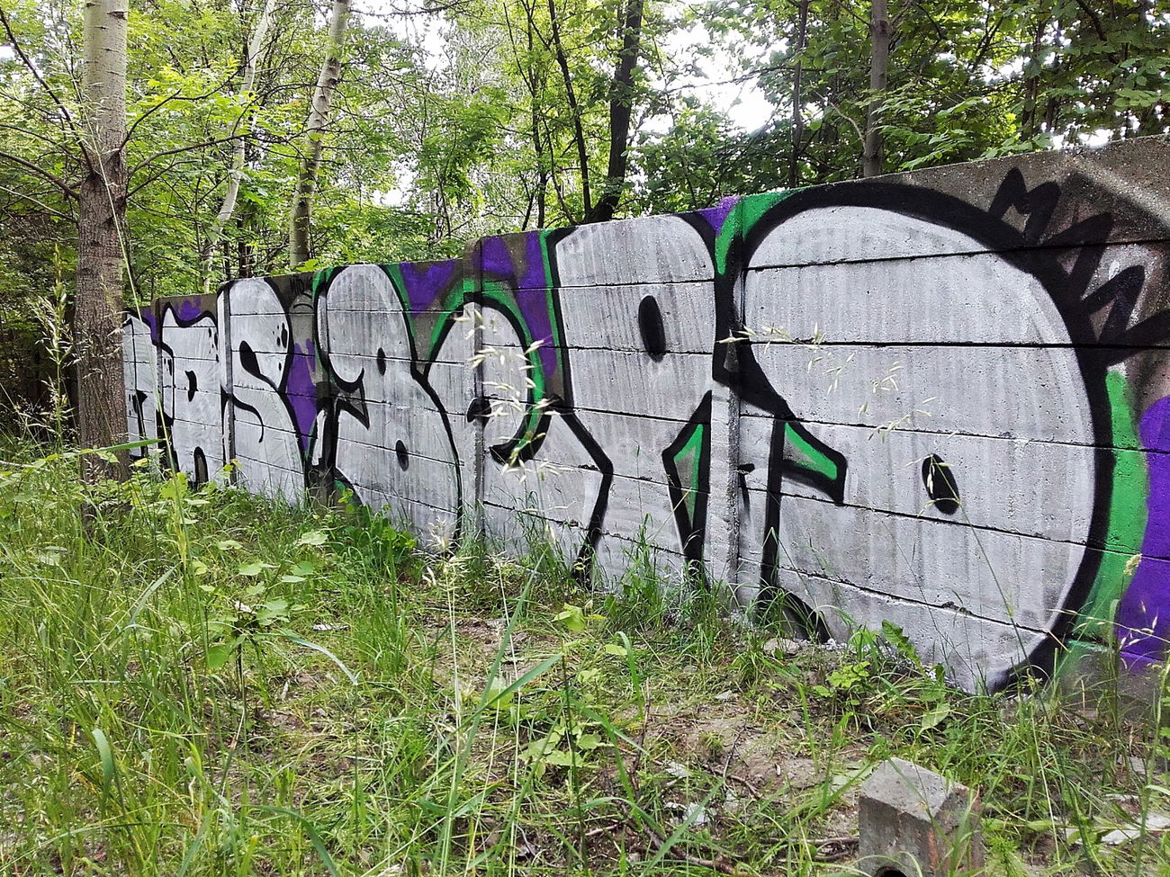 Graffiti Bombing in Uzbekistan - Photo by kraby - mtrs, berd, man (2016)