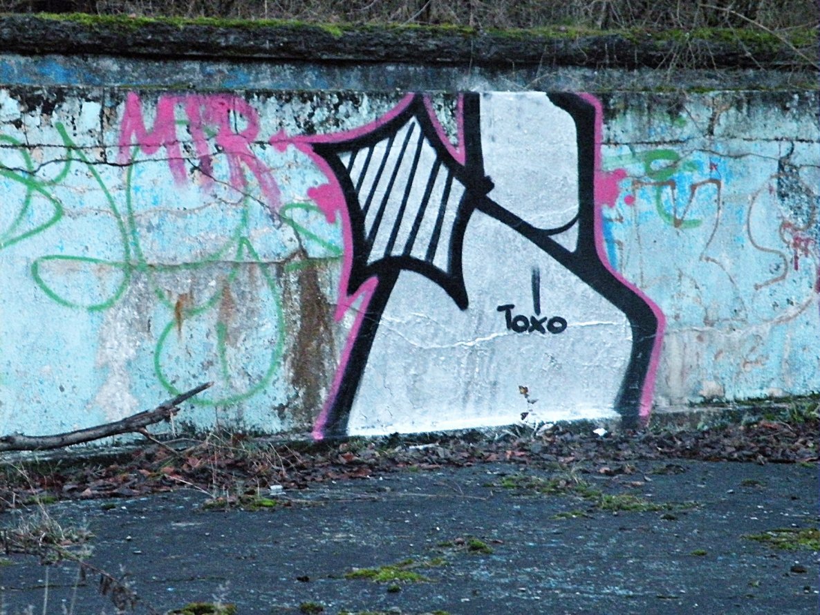 Graffiti Bombing - Photo by kraby