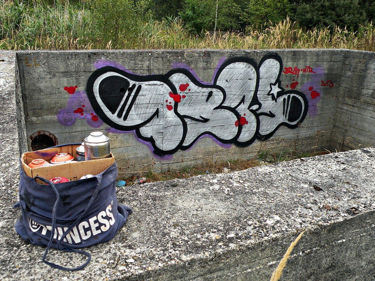 Graffiti Bombing in Kamerun - Photo by kraby - brak (2015)