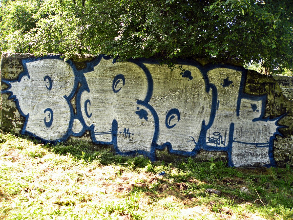 Graffiti Bombing - Photo by kraby - brak (2014)