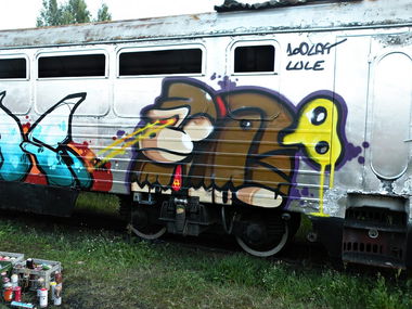 Graffiti Train - Photo by kraby - brak47 (2014)