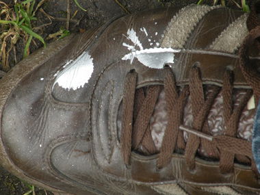 Graffiti Wall - Photo by kraby