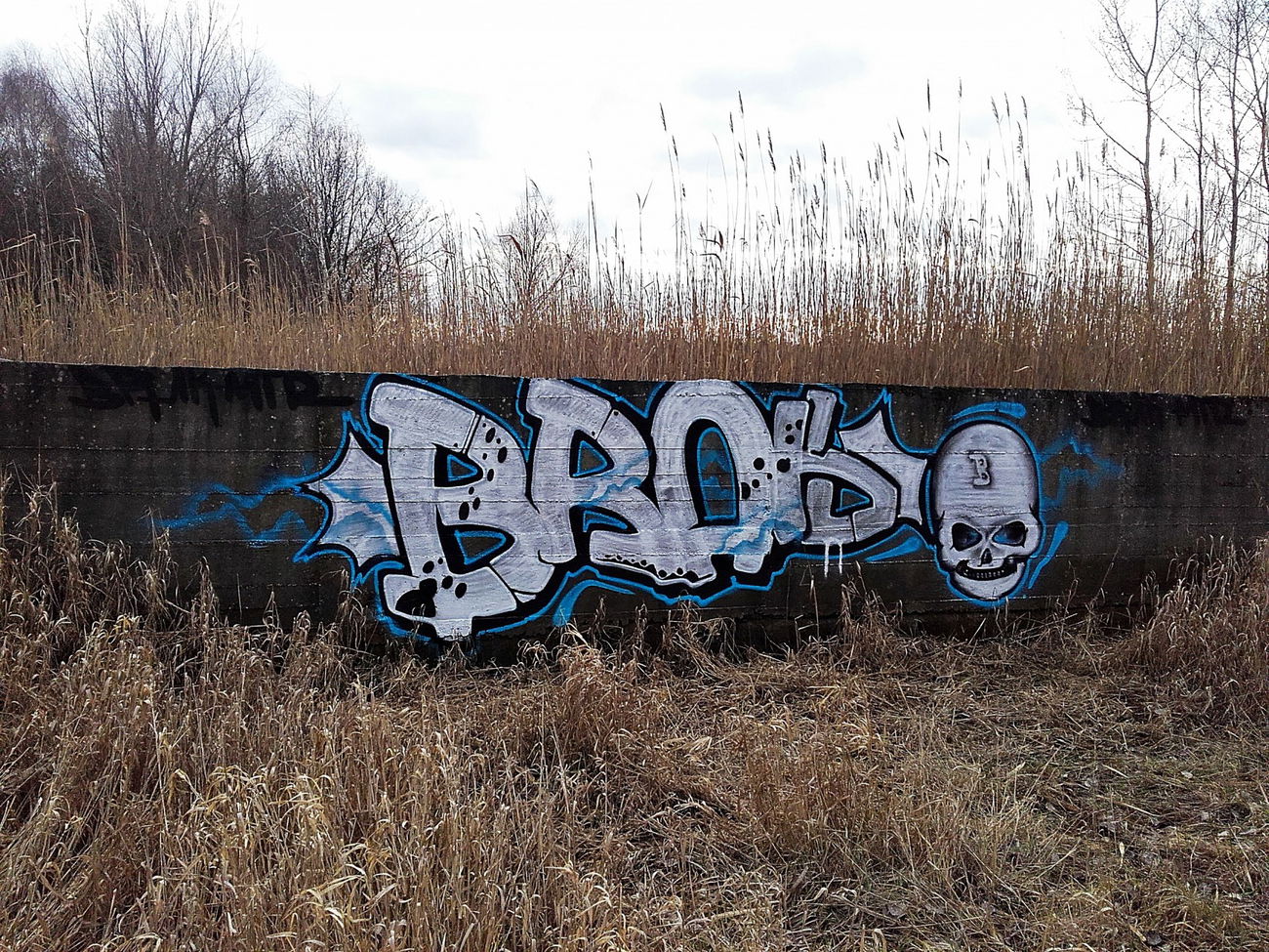 Graffiti Bombing - Photo by kraby (2016)