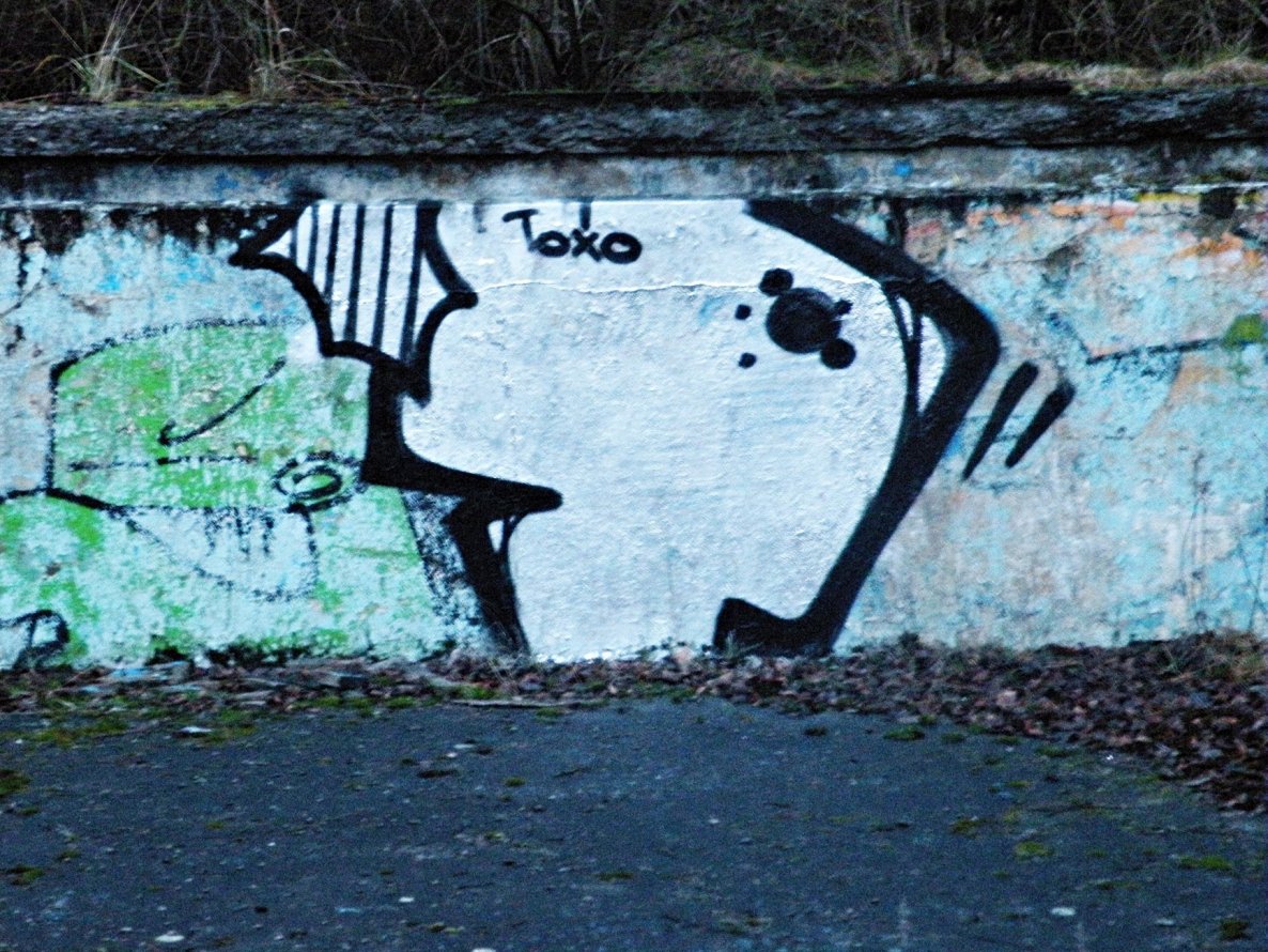 Graffiti Bombing - Photo by kraby