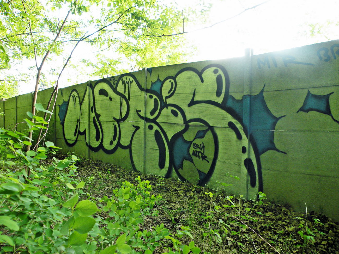 Graffiti Bombing - Photo by kraby (2015)