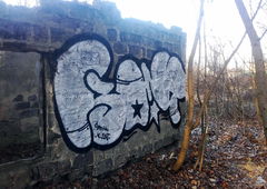 Photo #178375 by 19xllls