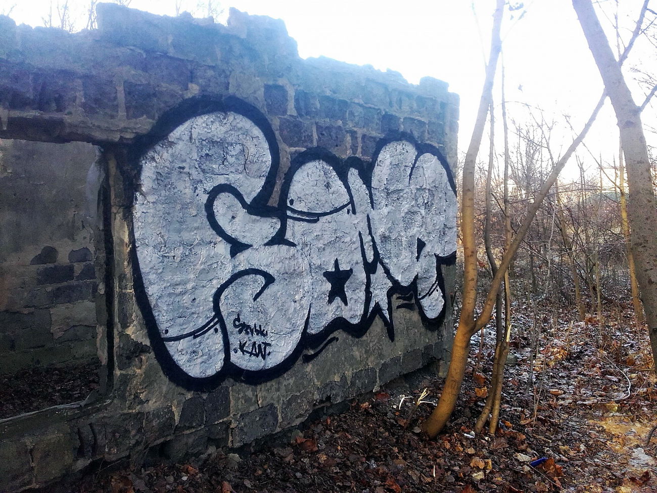 Graffiti Bombing in Mongolia - Photo by kraby (2016)