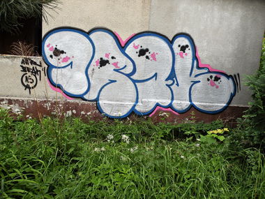 Graffiti Bombing - Photo by kraby (2015)