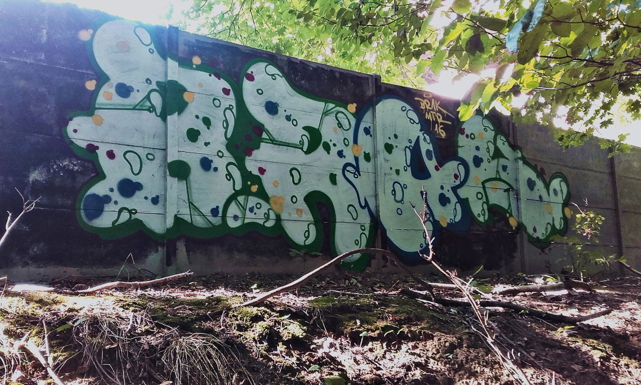 Graffiti Bombing in Madagaskar - Photo by kraby - brak (2016)