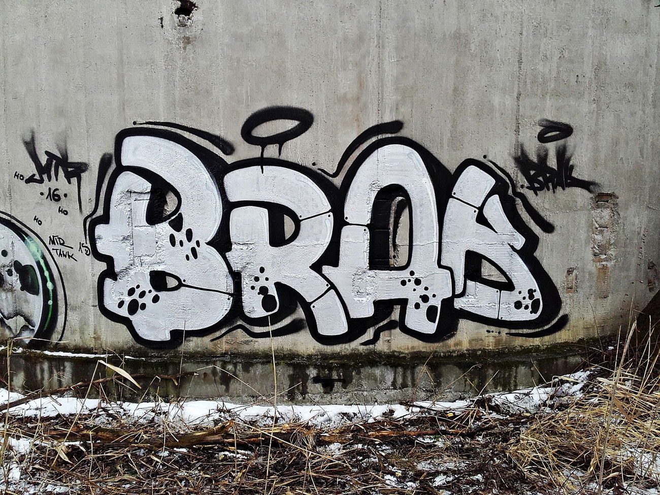 Graffiti Bombing - Photo by kraby - brak (2016)