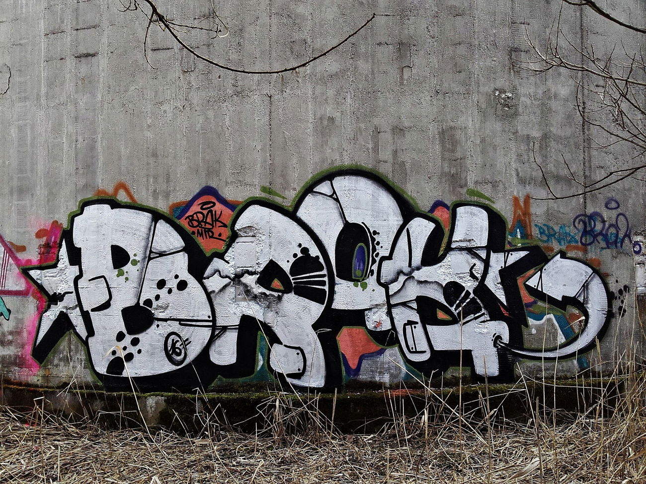 Graffiti Bombing in Niemcy - Photo by kraby - brak, mtr (2016)