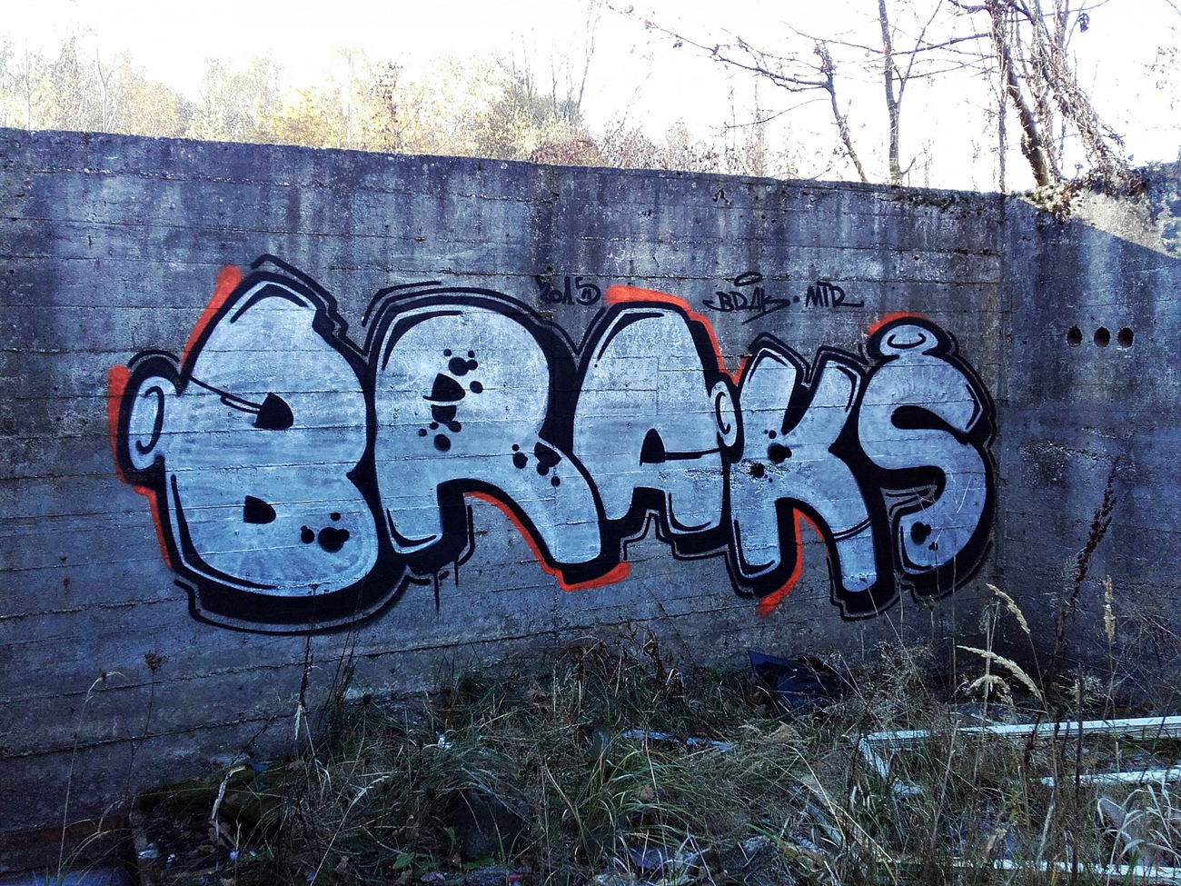 Graffiti Wall in Chiny - Photo by kraby - braks (2015)