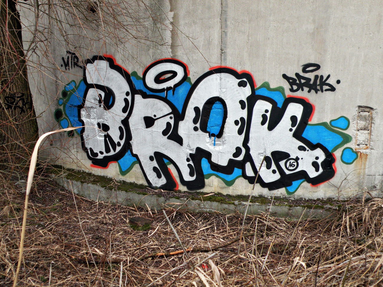 Graffiti Bombing in Chiny - Photo by kraby - brak (2016)