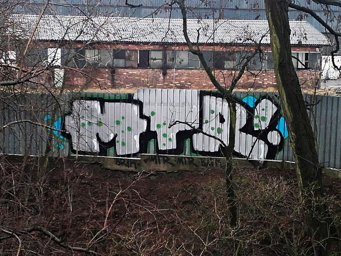 Graffiti Bombing in Stany zjednoczone ameryki - Photo by kraby - MTR (2016)