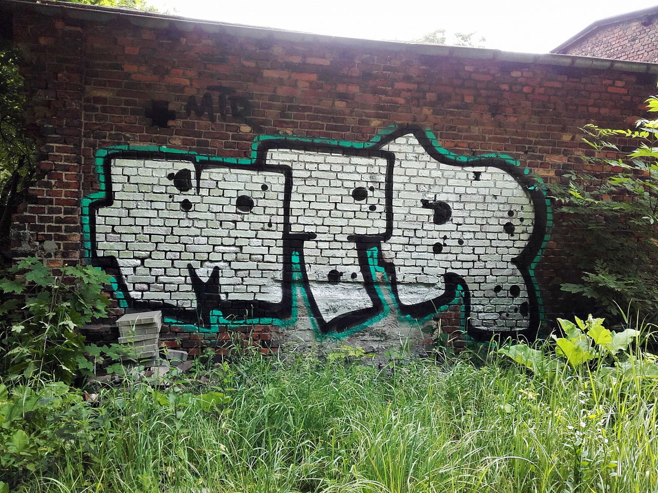 Graffiti Bombing in Uzbekistan - Photo by kraby - mtr (2016)