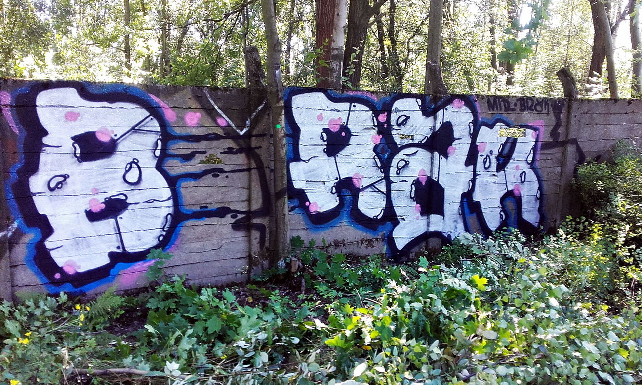 Graffiti Bombing in Zambia - Photo by kraby - brak, mtr (2016)