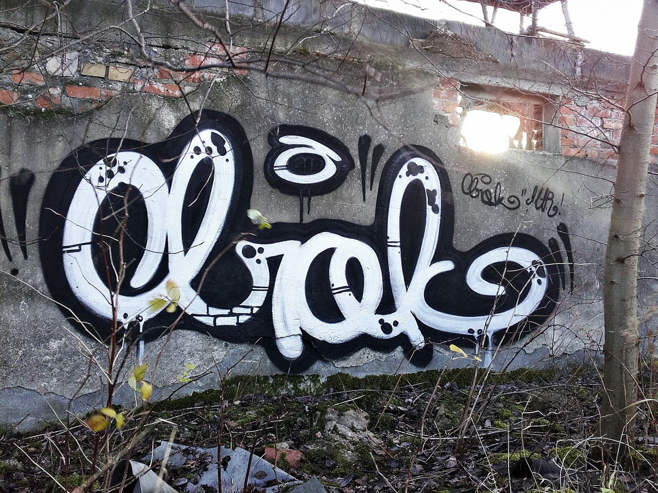 Graffiti Wall in Шадымо-Рыскинское Сельское Поселение - Photo by kraby - brak (2015)