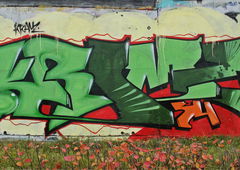 Photo #118483 by PredatoR17S