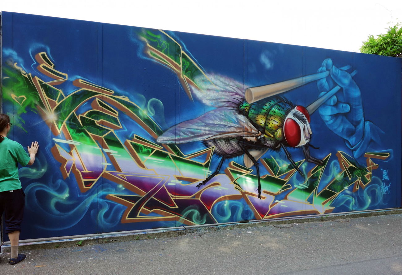 Graffiti Wall - Photo by ksen - karate, kid, fly