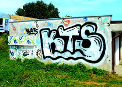 Photo #251982 by iobe1