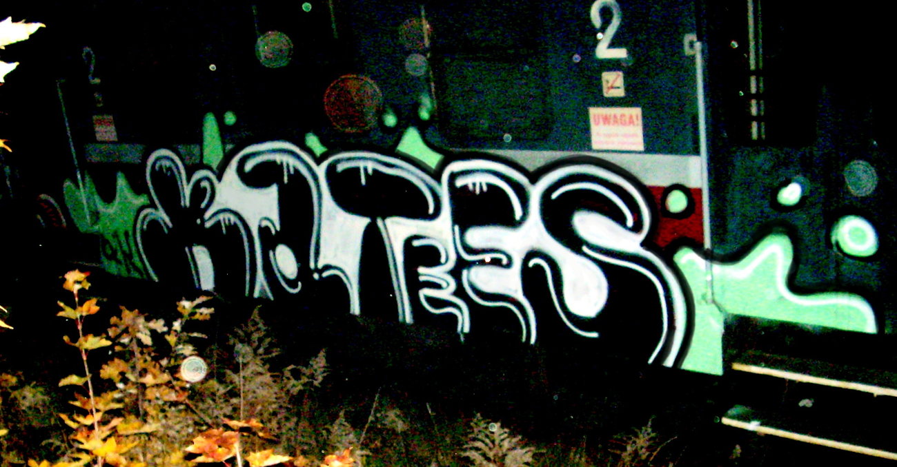 Graffiti Train in Poznań - Photo by ktsOikBats1 - Kts, oik, bats