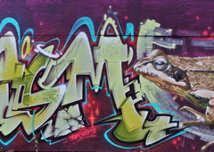 Photo #119507 by TheWallHunter