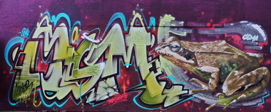 Graffiti Wall - Photo by kuerbiskerne37 - mism, sigma, coreoner (2014)