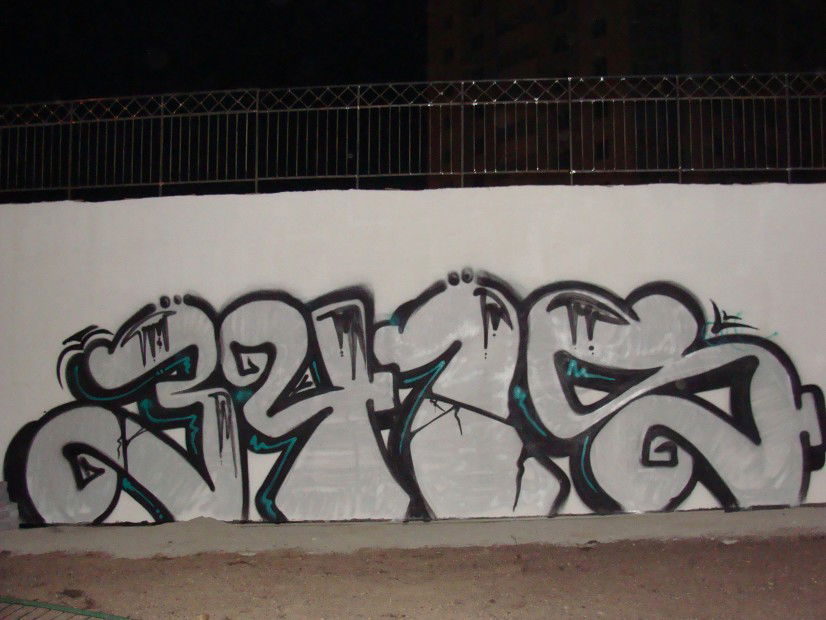 Graffiti Bombing - Photo by kust341 (2013)