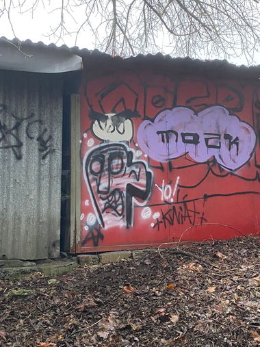 Graffiti Bombing - Photo by kwiatXwhoyou