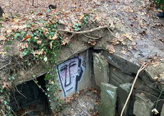 Photo #248406 by DISOE