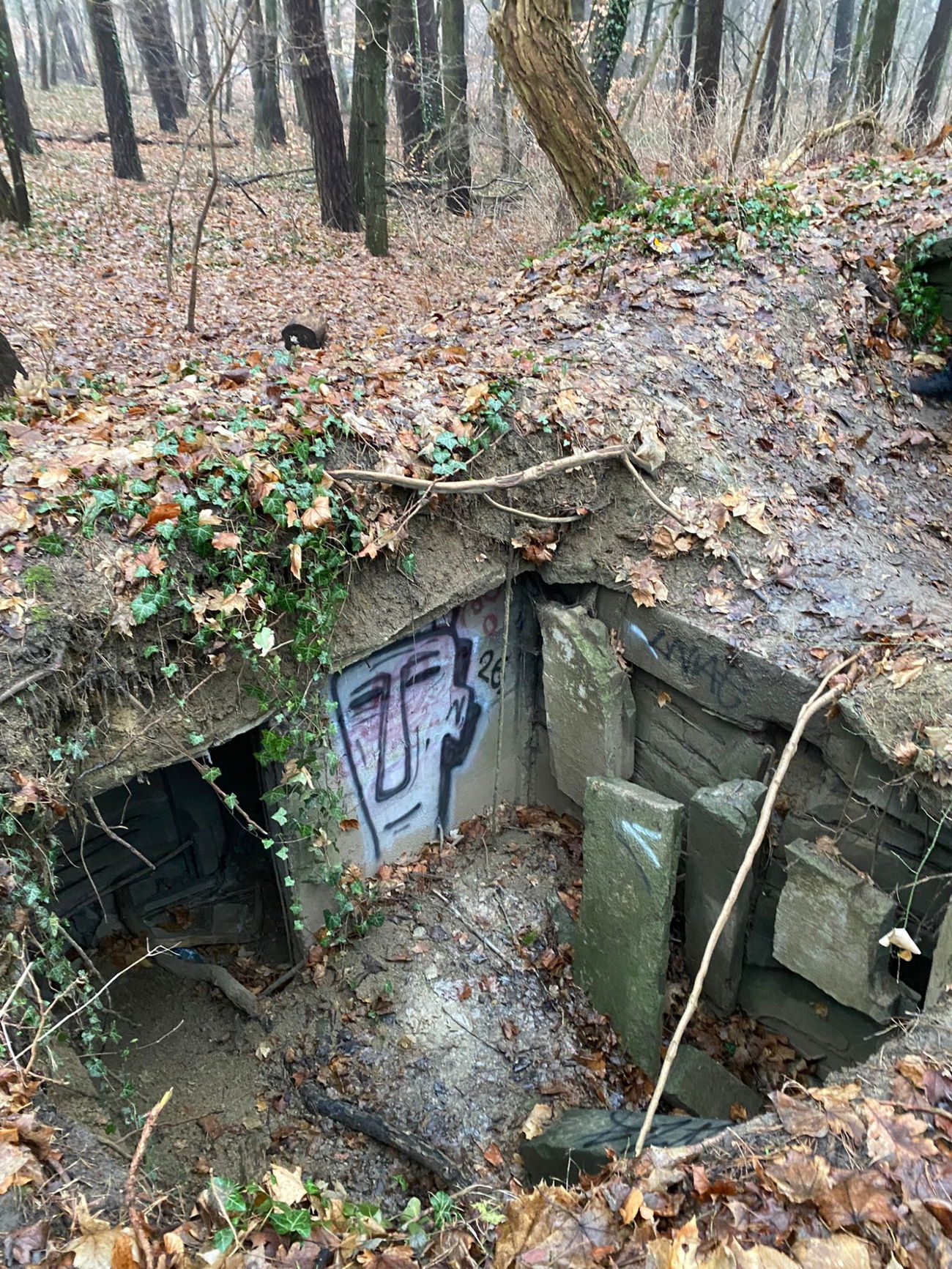 Graffiti Wall - Photo by kwiatXwhoyou