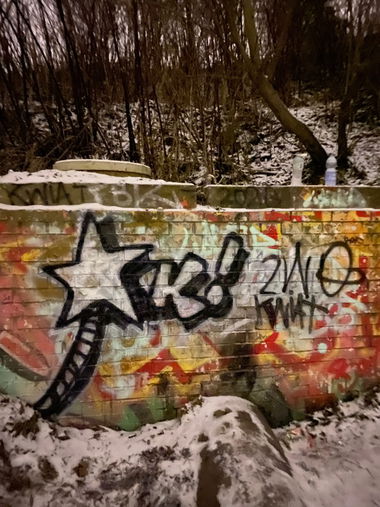 Graffiti Bombing - Photo by kwiatXwhoyou
