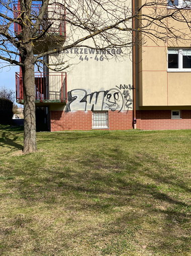 Graffiti Bombing - Photo by kwiatXwhoyou