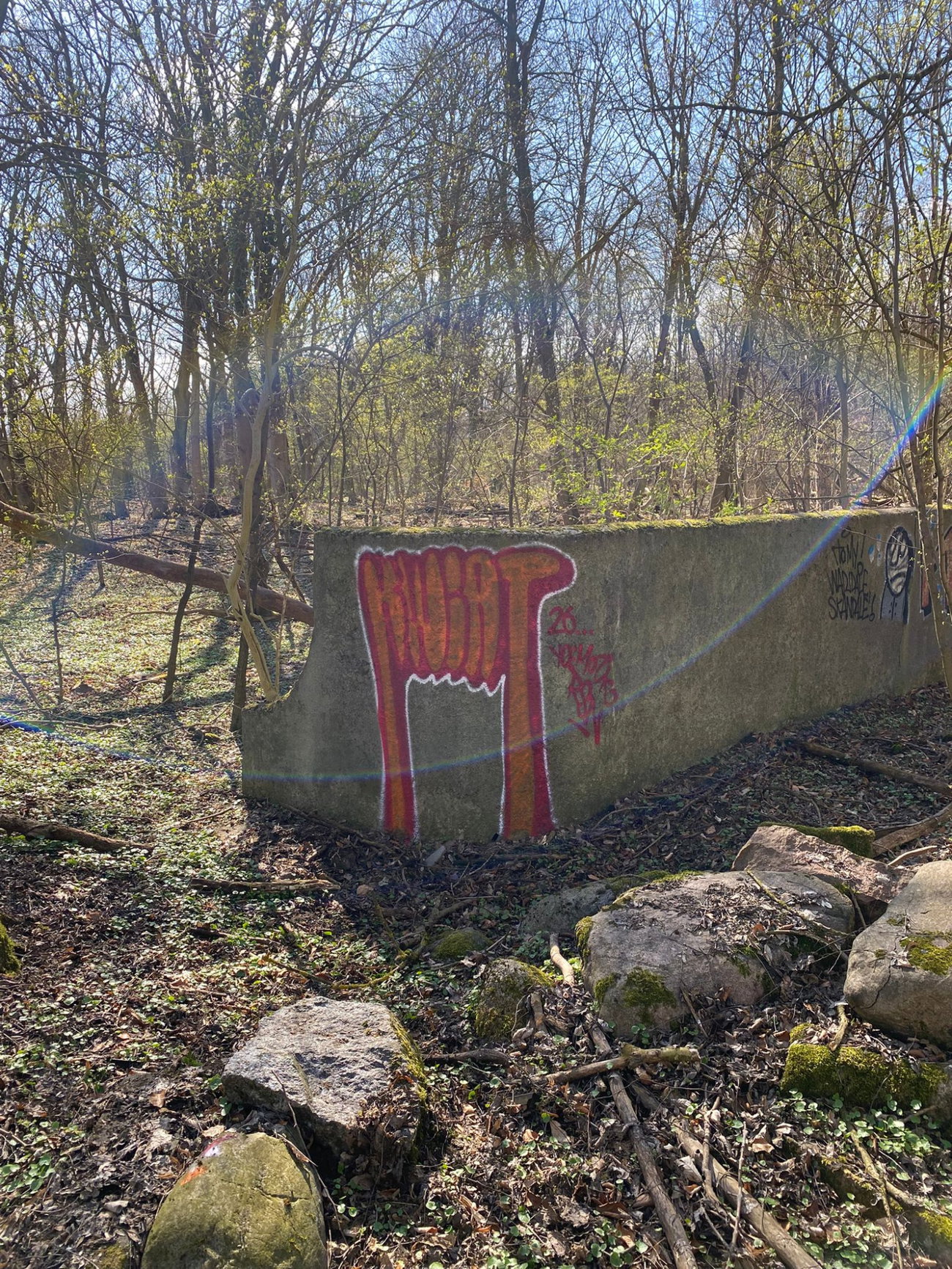 Graffiti Wall - Photo by kwiatXwhoyou