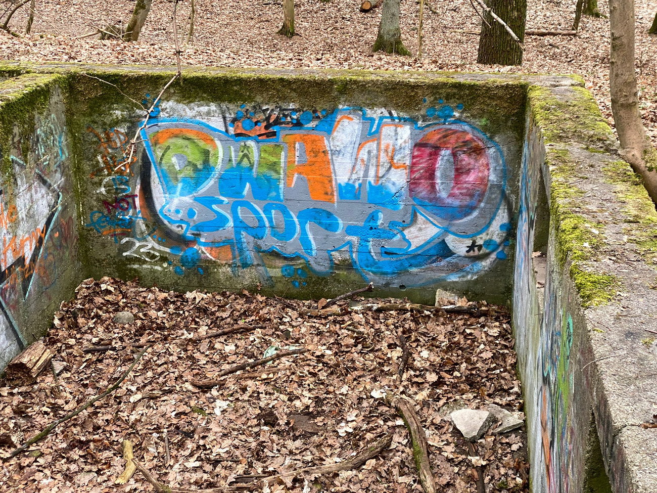 Graffiti Wall - Photo by kwiatXwhoyou