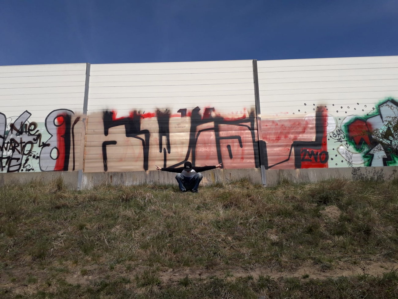 Graffiti Bombing - Photo by kwiatXwhoyou