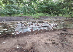 Graffiti Bombing - Photo by kwiatXwhoyou