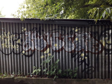Graffiti Bombing - Photo by kwiatXwhoyou