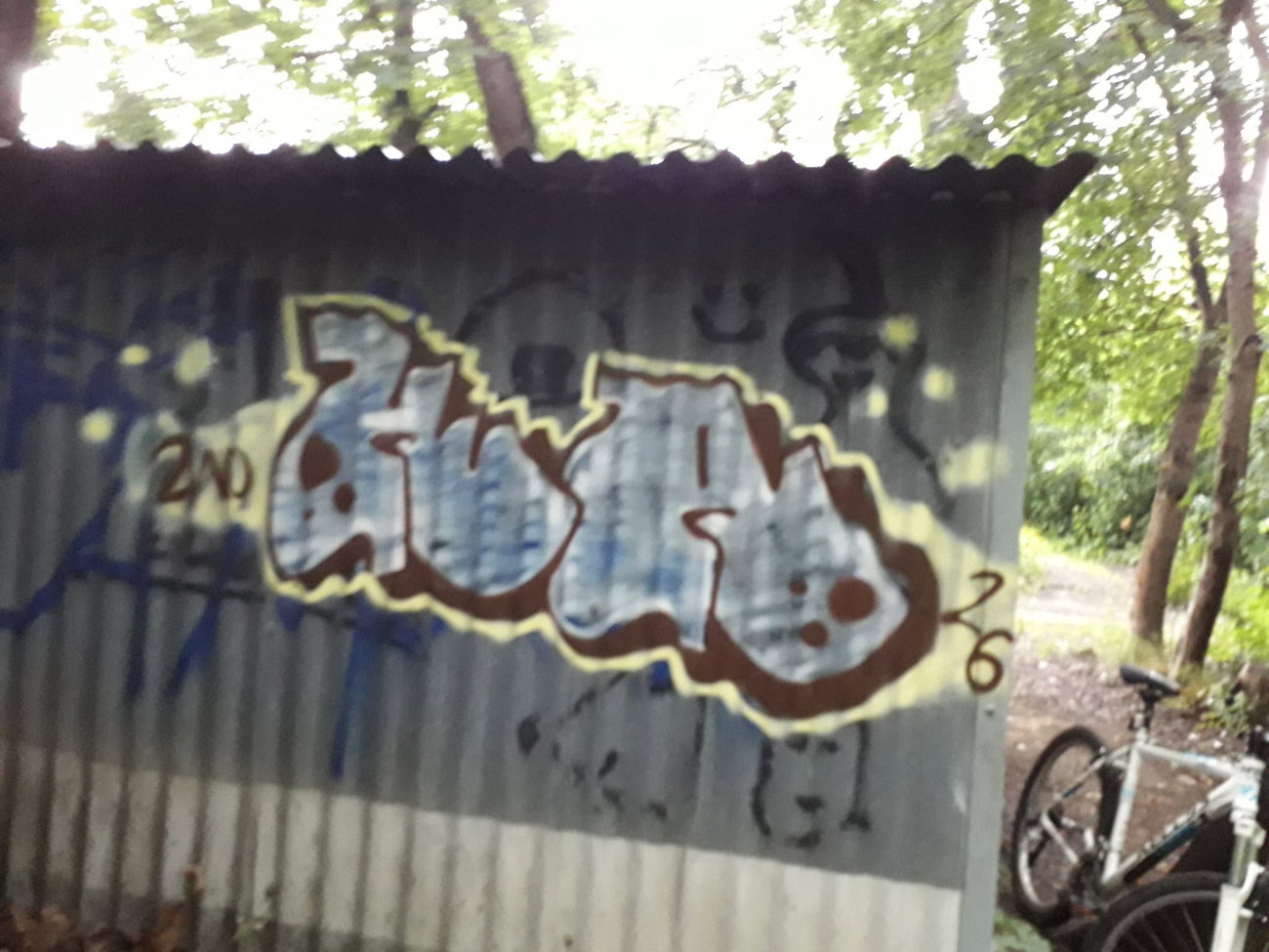 Graffiti Bombing - Photo by kwiatXwhoyou