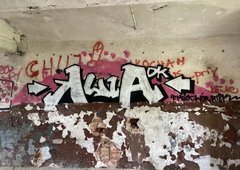Photo #251302 by iobe1